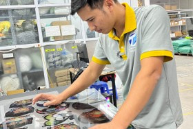 PHÁT TRIỂN TRUNG VIỆT